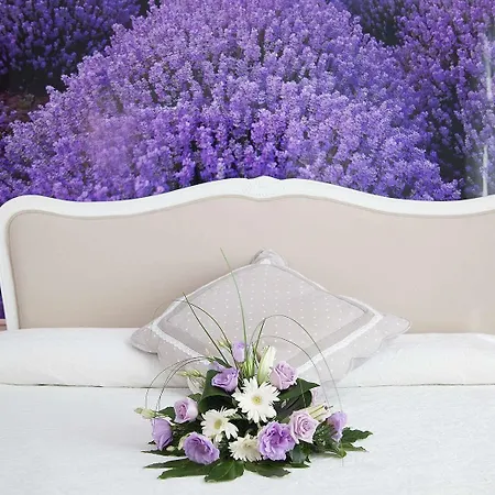Vilana Boutique 4*